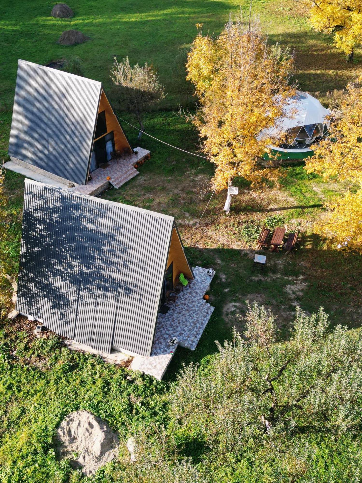 The Frog Glamping Hotel Horezu Buitenkant foto