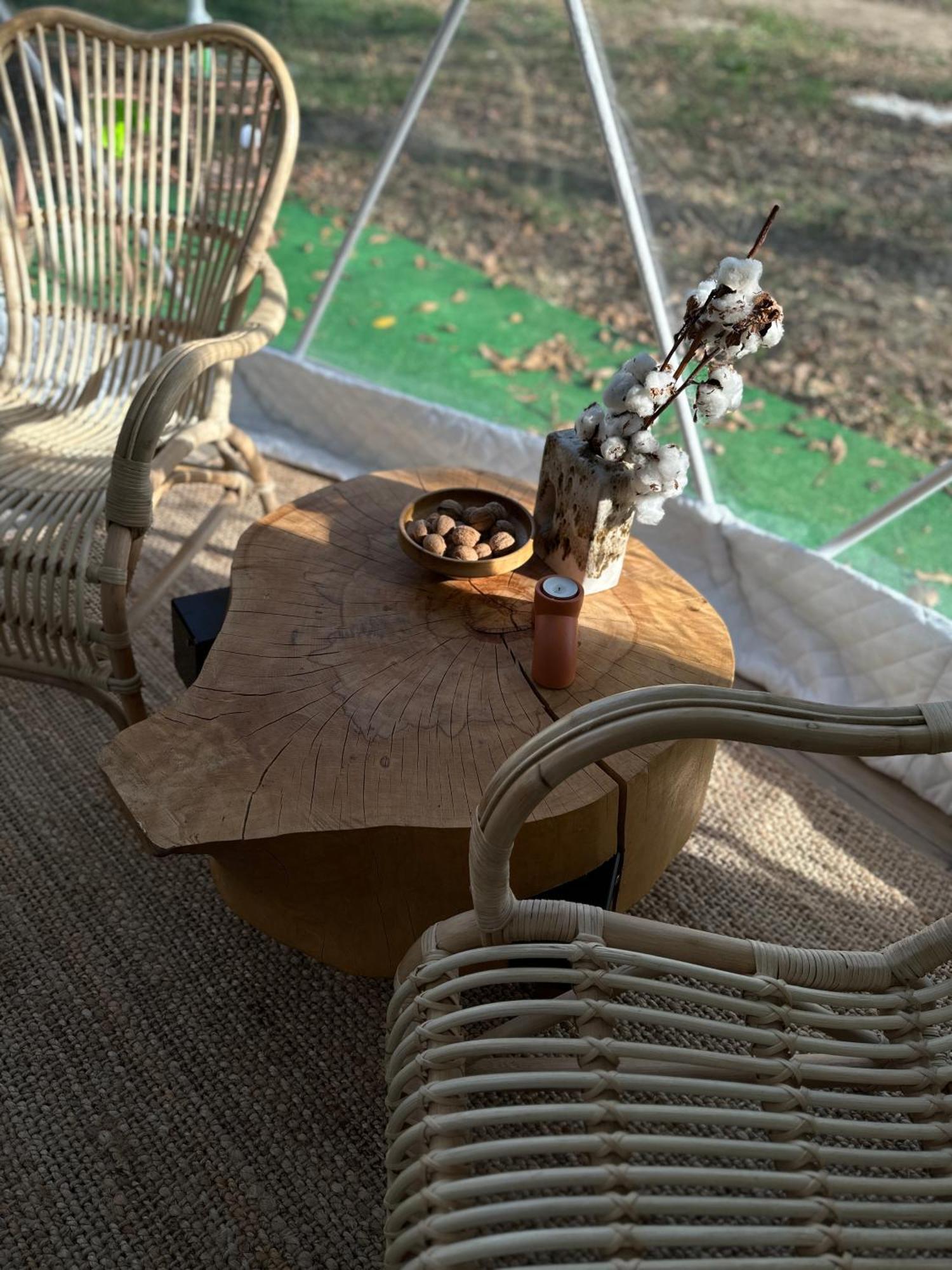 The Frog Glamping Hotel Horezu Buitenkant foto