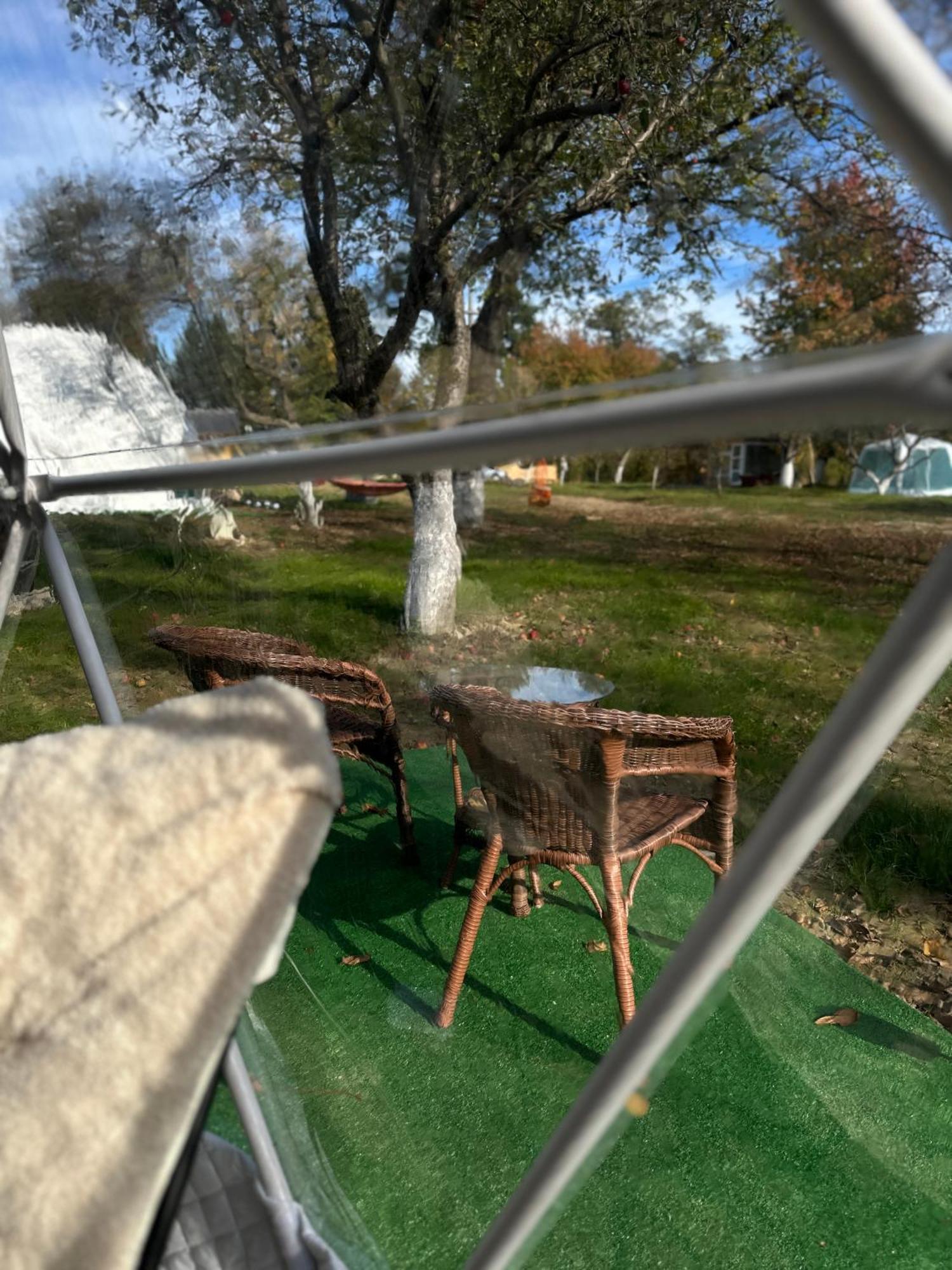 The Frog Glamping Hotel Horezu Buitenkant foto