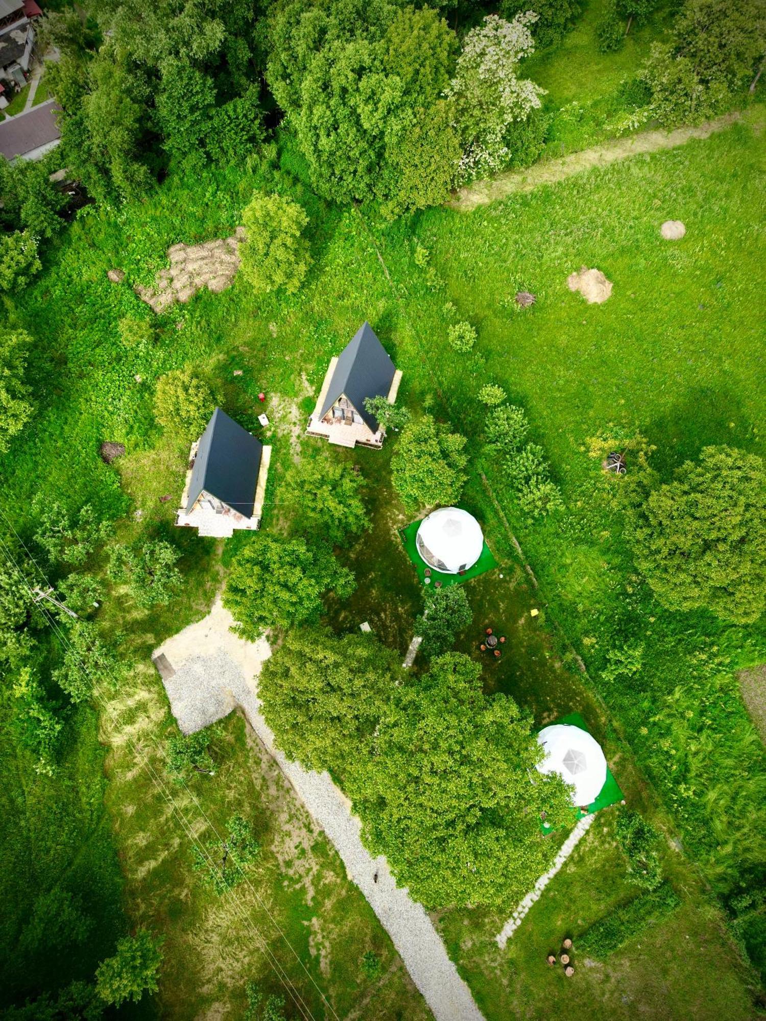 The Frog Glamping Hotel Horezu Buitenkant foto