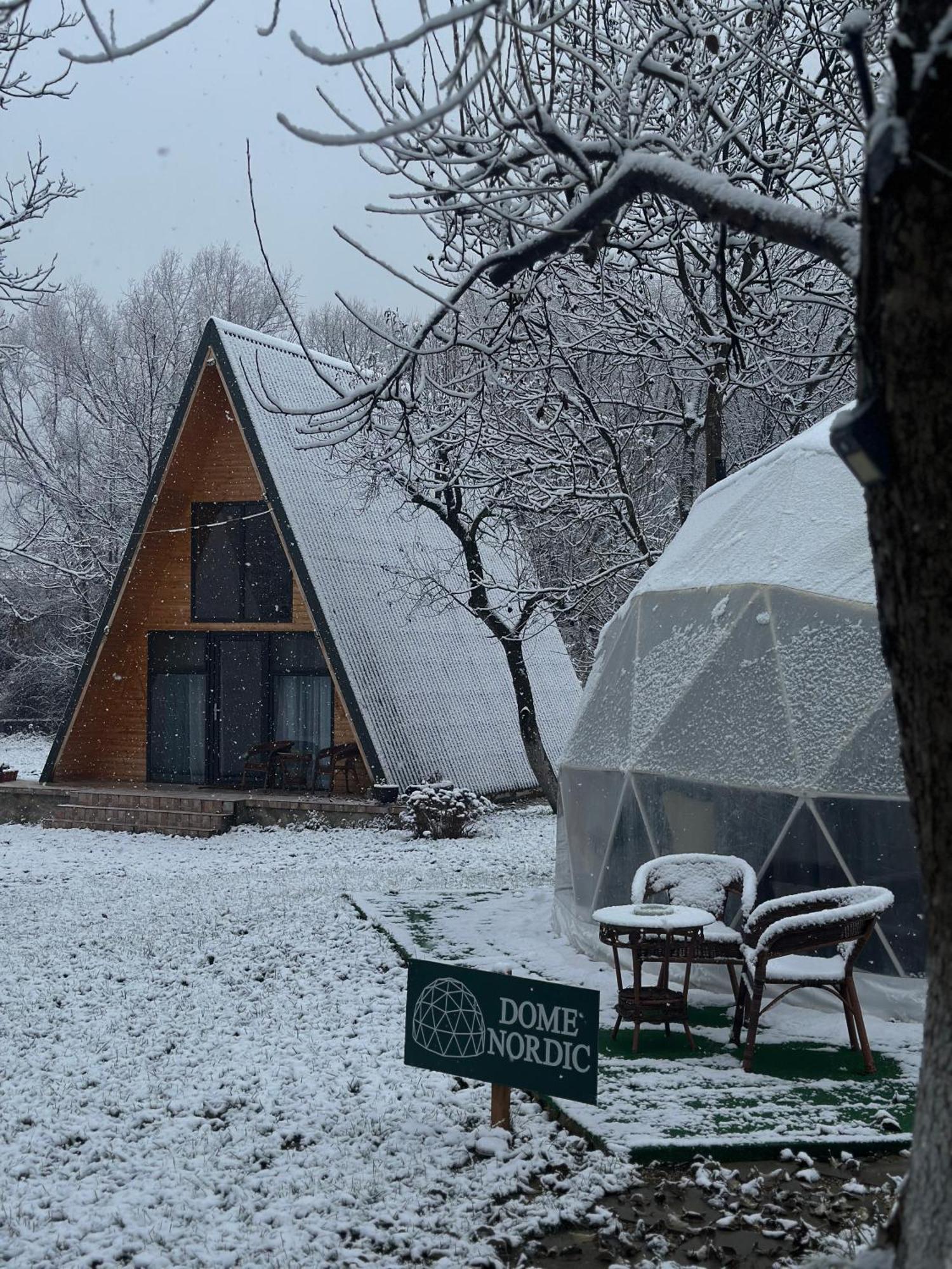 The Frog Glamping Hotel Horezu Buitenkant foto