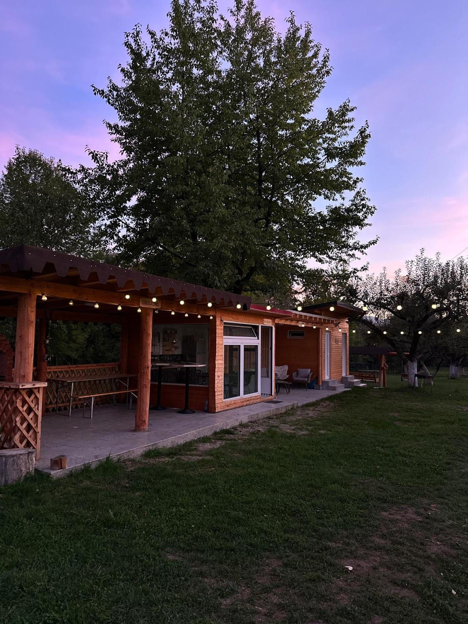 The Frog Glamping Hotel Horezu Buitenkant foto