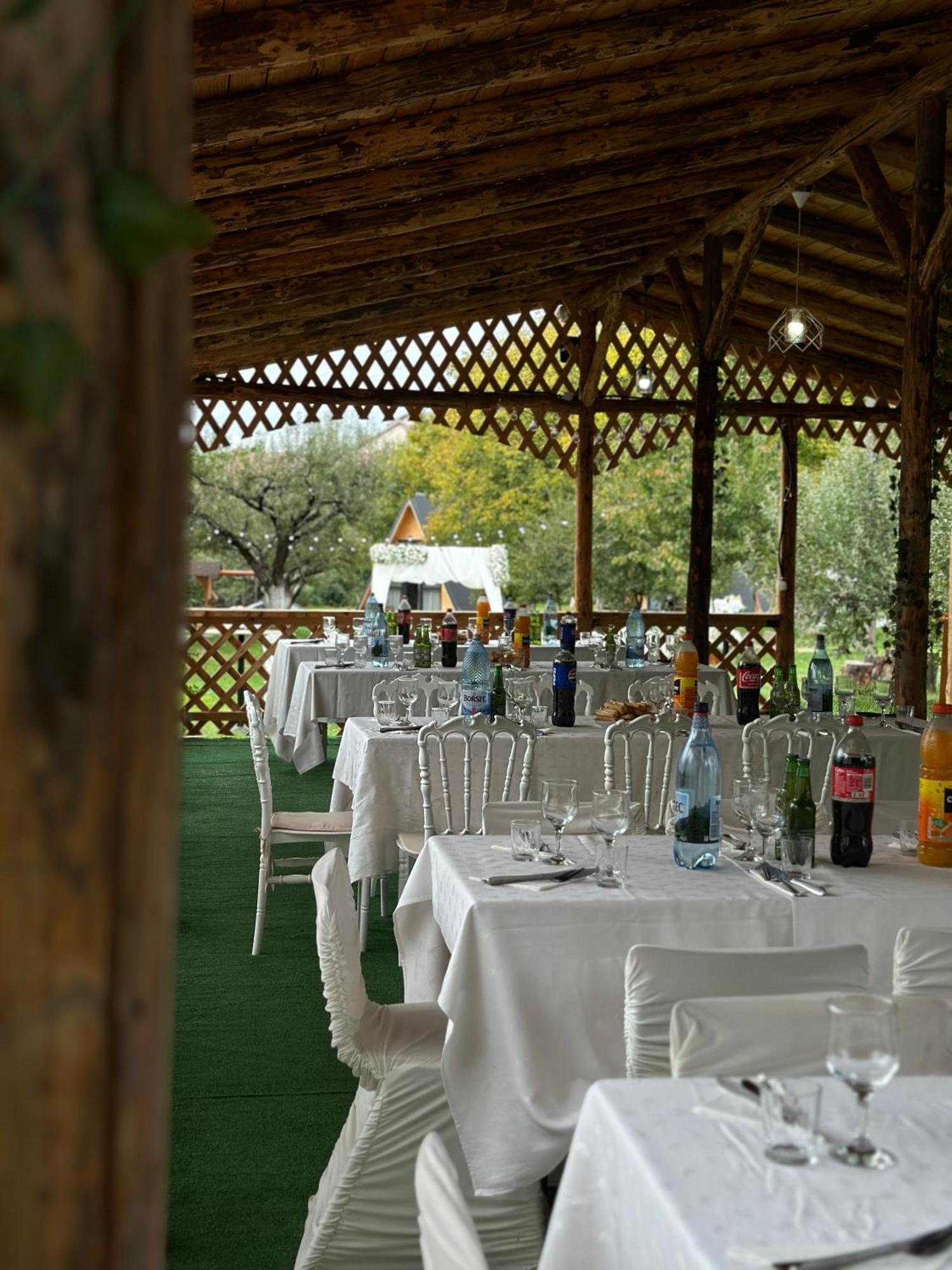 The Frog Glamping Hotel Horezu Buitenkant foto